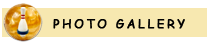 Photo Gallery